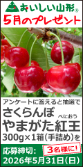 ���������R�`�v���[���g
